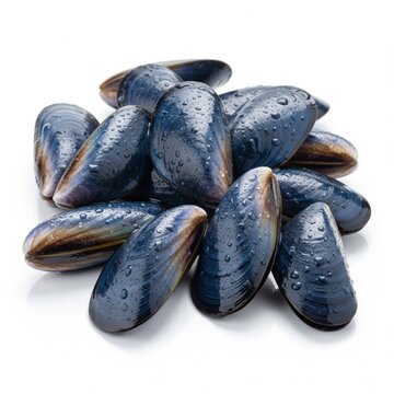 Heap of Fresh Blue Mussels with Water Droplets on White Surface