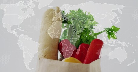 Featuring brown paper bag holding baguette, celery, red peppers, lemon in studio, world map overlay © vectorfusionart