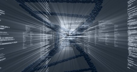Fototapeta premium Spiraling stylized DNA helix moving through virtual data tunnel, showing floating code columns