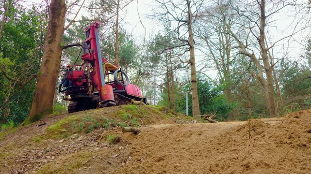 Idle forestry machine in woodland during reforestation project. Industrial equipment standing among trees highlighting afforestation and sustainability. Eco conservation concept for forest restoration