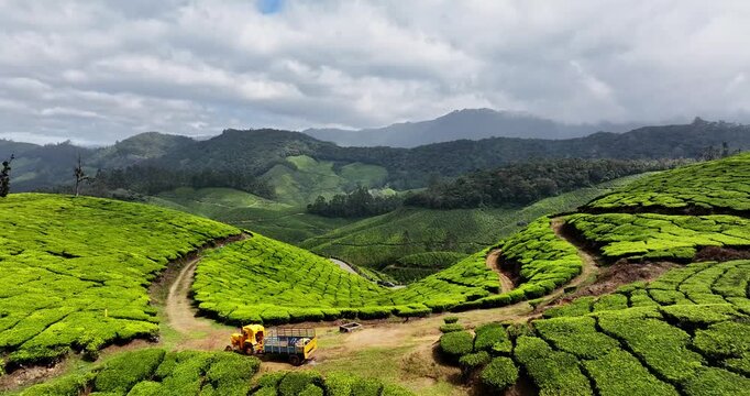 Close-up Aerial view of Tea Plantation hill valley in Munnar, Kerala, India. Aerial view of a tea plantation in Munnar. The beautiful Western Ghats mountain range in Kerala