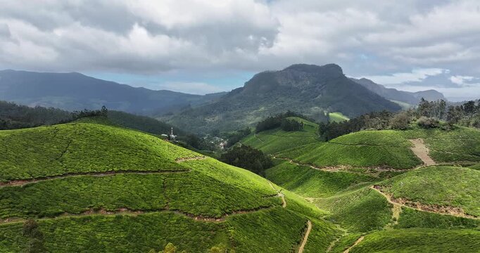 Aerial view of several Tea Plantation hills in Munnar, Kerala, India. Cinemati Aerial View of Munnar. Aerial view of a tea plantation in Munnar. The beautiful Western Ghats mountain range in Kerala