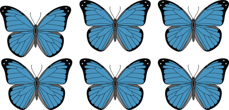 Beautiful blue morpho butterfly collection set featuring realistic wing patterns and silhouettes isolated on white background for nature design vector illustration