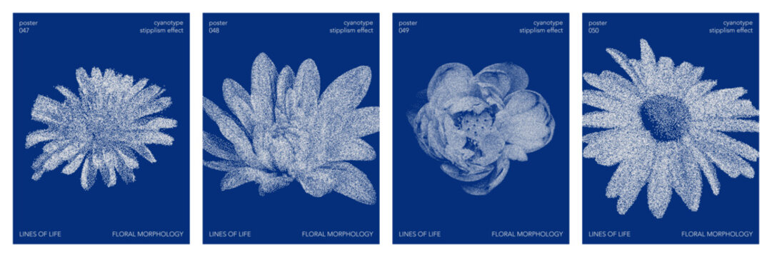 Blue cyanotype orchid botanical poster. Stipple dot overlay texture with flower silhouette. Delicate indigo blue nature banner for template and graphic design project.