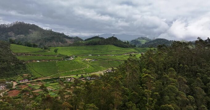 Revealing drone shot of Tea Plantation hill in Munnar, Kerala, India. Cinemati Aerial View of Munnar. Aerial view of a tea plantation in Munnar. The beautiful Western Ghats mountain range in Kerala