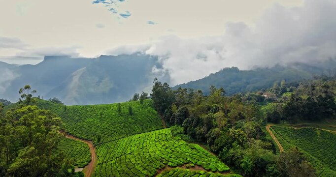 Aerial view of Tea Plantation hill in Munnar, Kerala, India. Cinemati Aerial View of Munnar. Aerial view of a tea plantation in Munnar. The beautiful Western Ghats mountain range in Kerala