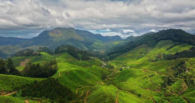 Circling Aerial view of Tea Plantation hillS in Munnar, Kerala, India. Cinemati Aerial View of Munnar. Aerial view of a tea plantation in Munnar. The beautiful Western Ghats mountain range in Kerala