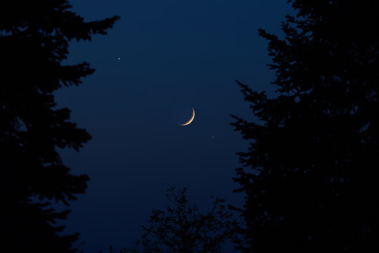 Crescent young Moon with stars, planets and rural countryside tree silhouettes.