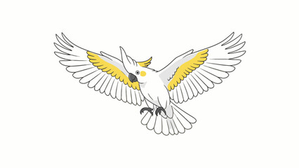 Fototapeta premium Sulphur-crested Cockatoo Flying Isolated on White Background