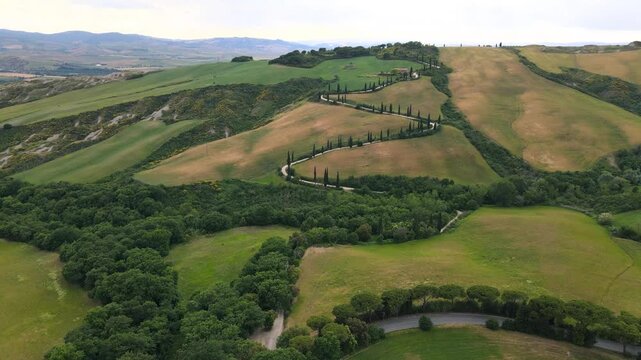 Famous cypress road in Monticchiello, Tuscany. Aerial view from drone in spring season