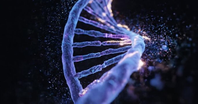 DNA double helix structure animation.