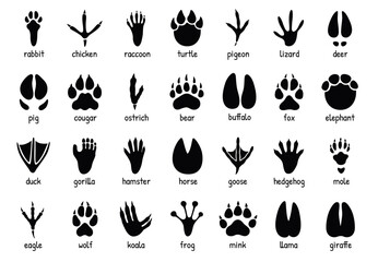 Animal footprints. Wild, domestic pet paw prints, feet and claws imprint. Cat, dog and bear, raccoon and turtle, pigeon and lizard, pig black foot stamps. Fox and elephant, wolf and koala vector set © Ukio.stock