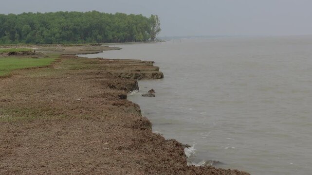 A view of the riverbank in the erosion-affected area of Char Hassan area of Bhola district. Water is rushing along the riverbank in the river erosion area. 
