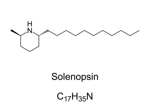 Solenopsin, chemical formula and molecular structure. Lipophilic alkaloid in venom of fire ants, Solenopsis. Primary toxin of the venom, responsible for cardiorespiratory failure after stings. Vector