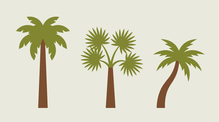 Obraz premium Three stylized palm trees with different shapes and frond types, depicted in a flat vector illustration style against a plain background.