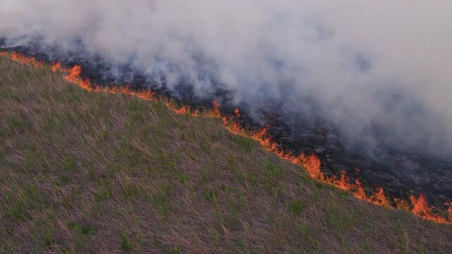Wildfire burning dry grass in a field with thick smoke