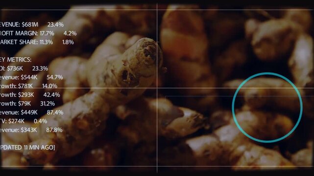 Ginger cluster getting HUD overlay with guides fading in, showing profit margins for food industry