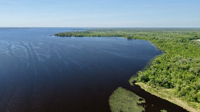Aerial view of the dark waters meeting lush green shores along Palmo Fish Camp Road, St. Augustine, Florida, United States.
