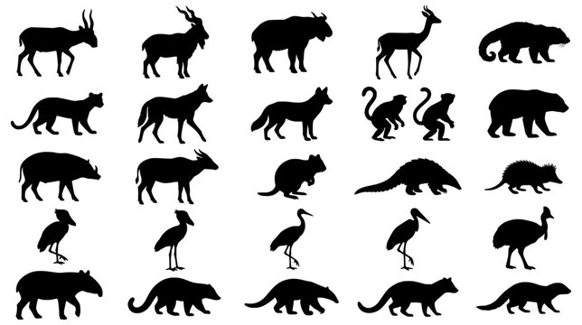 Large set of diverse wild animal silhouettes including markhor monkey pangolin shoebill and tapir