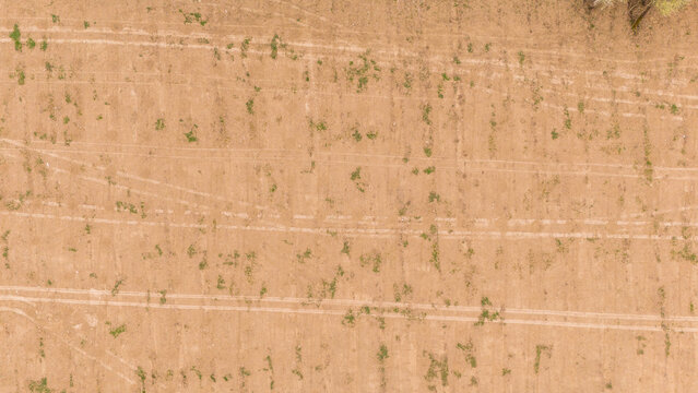 Aerial view of sun-baked fields etched with tire tracks, a geometric tapestry of rural life, Sremska Mitrovica, Vojvodina, Serbia.