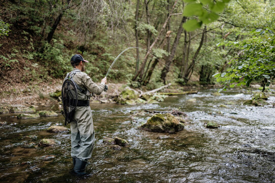 A male angler wearing waders stands in a shallow woodland stream while fly fishing and casting a rod during a peaceful outdoor adventure in nature.