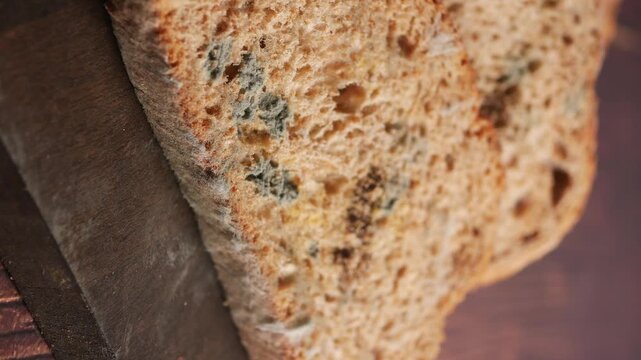 Close up slow motion of moldy bread on a wooden surface, showing decay and food waste.