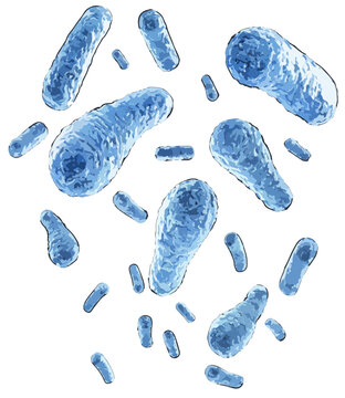 Clostridium botulinum illustration