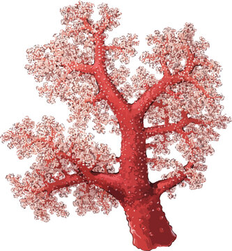 Dendronephthya hemprichii illustration art