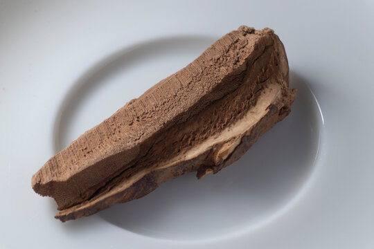 ganoderma lucidum - reishi