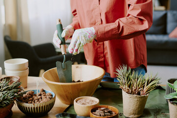 Middle aged woman mixing soil with hand trowel while repotting houseplants at home, showing indoor gardening and plant care. Ideal for home lifestyle, hobby, wellness, retail content