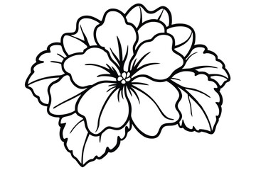 geranium flower silhouette line art vector illustration with a white background © pipp99