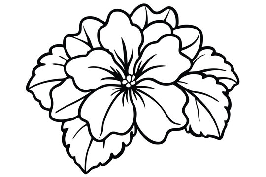 geranium flower silhouette line art vector illustration with a white background
