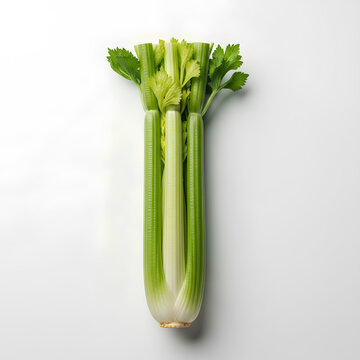 Fresh celery stalks with green leaves on a white background.