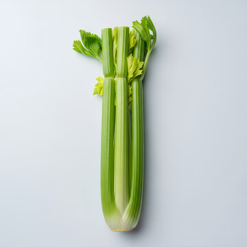 Fresh green celery stalks a healthy and nutritious vegetable on white background.