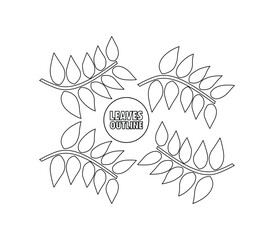 Fototapeta premium Outline set of leaves in vector illustration, featuring multiple leaf shapes shown from different angles with clean black outlines. deal for use in patterns, icons, logos, and decorative elements.