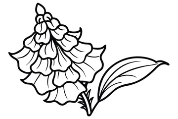 foxglove flower silhouette line art vector illustration with a white background © pipp99
