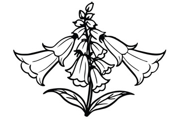 foxglove flower silhouette line art vector illustration with a white background © pipp99