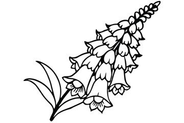 foxglove flower silhouette line art vector illustration with a white background © pipp99