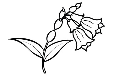 foxglove flower silhouette line art vector illustration with a white background © pipp99