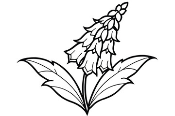 foxglove flower silhouette line art vector illustration with a white background © pipp99