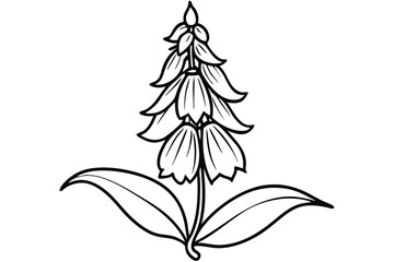 foxglove flower silhouette line art vector illustration with a white background © pipp99