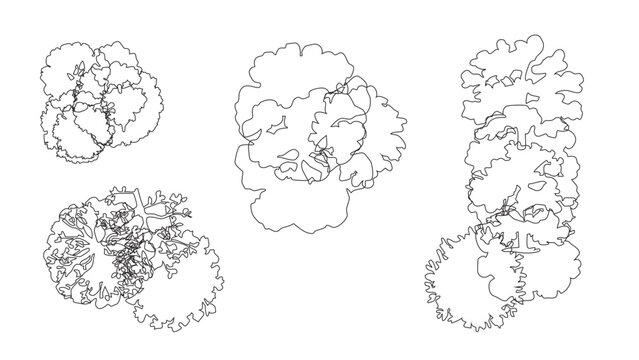 Landscape design tree symbols top view set for site mapping and architectural garden plans.