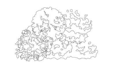 Minimalist outline tree cluster vector illustration for landscape planning and garden design. © Sara Studio