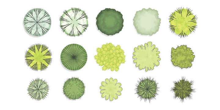 A collection of architectural tree top view symbols for landscape design and site planning projects