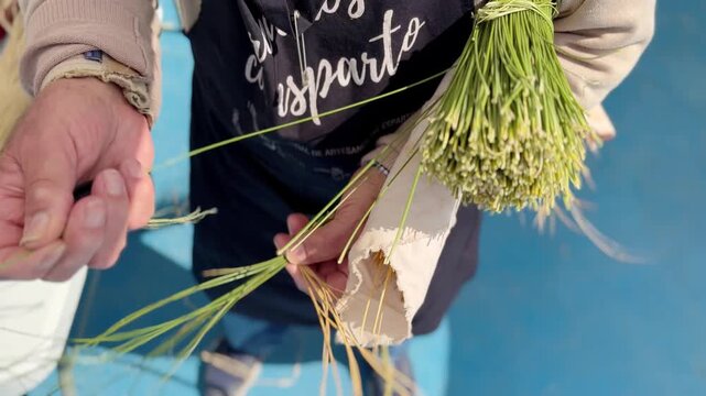 Close up of elderly farmer hands weaving esparto grass braid. Traditional craft, rural lifestyle, handmade work, texture and detail of artisan skill.