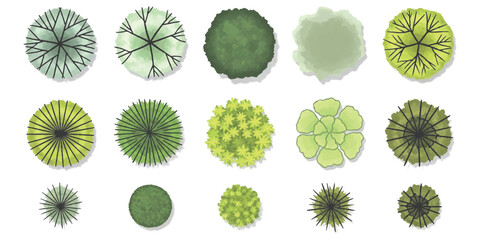 A collection of various top down tree illustrations for architectural landscape design projects. ©  Designer
