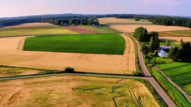 Aerial View of Expansive Agricultural Fields and Lush Green Crop Diversity Under Clear Skies in Finland