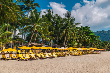 Long row of yellow sun loungers and umbrellas on sandy tropical beach with palm trees and resort area © StockMediaSeller