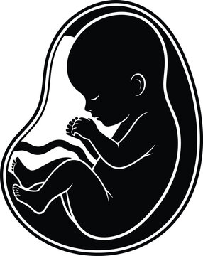 Human fetus silhouette inside womb pregnancy development prenatal baby concept isolated on white background vector illustration medical design style