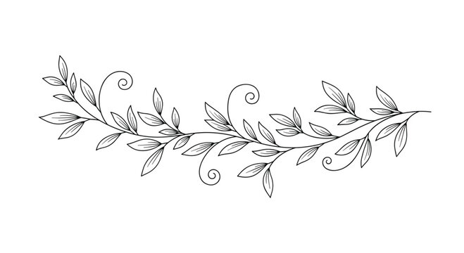 Minimalist line drawing of a leafy vine branch with simple black outlines on a white background for clean botanical and nature designs.
